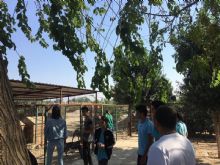 Ceyhan Final Akademi Anadolu Lisesi Etkinlikleri